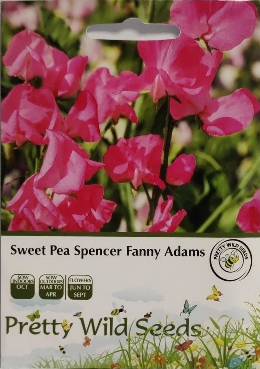 Sweet Pea Spencer Fanny Adams Seeds in Pictorial Packet- 30 Seeds