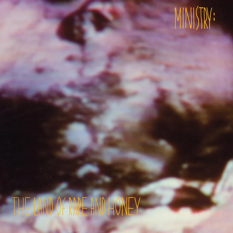 The Land Of Rape And Honey (Limited Black Vinyl) [VINYL]