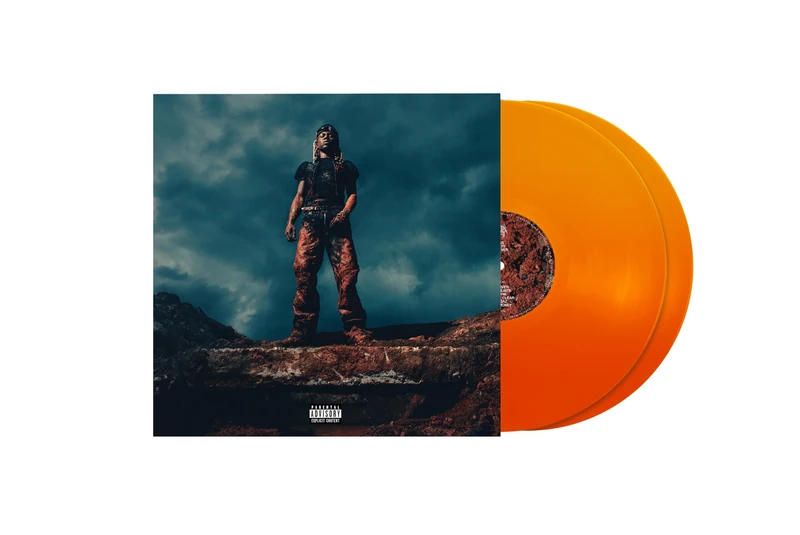 LOVE LASTS FOREVER[Translucent Pumpkin Spice 2 LP] [Alt Cover] [Vinyl LP] [VINYL]