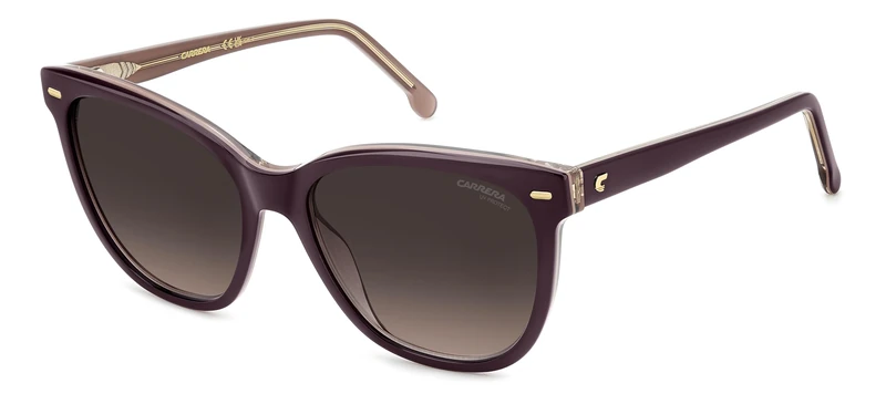 Carrera 3043/S Plum 56/17/140 WOMAN Sunglasses