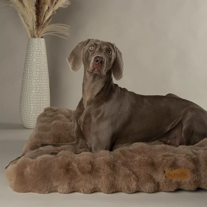 Scruffs Luxury Alpine Dog Bed Mattress (L)