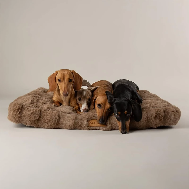 Scruffs Luxury Alpine Dog Bed Mattress (M)