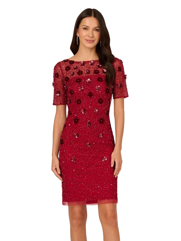 Adrianna Papell Women's Velvet Embellish Mesh Dress Special Occasion, Cranberry, 22 Plus