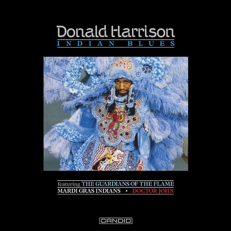 Indian Blues [VINYL]
