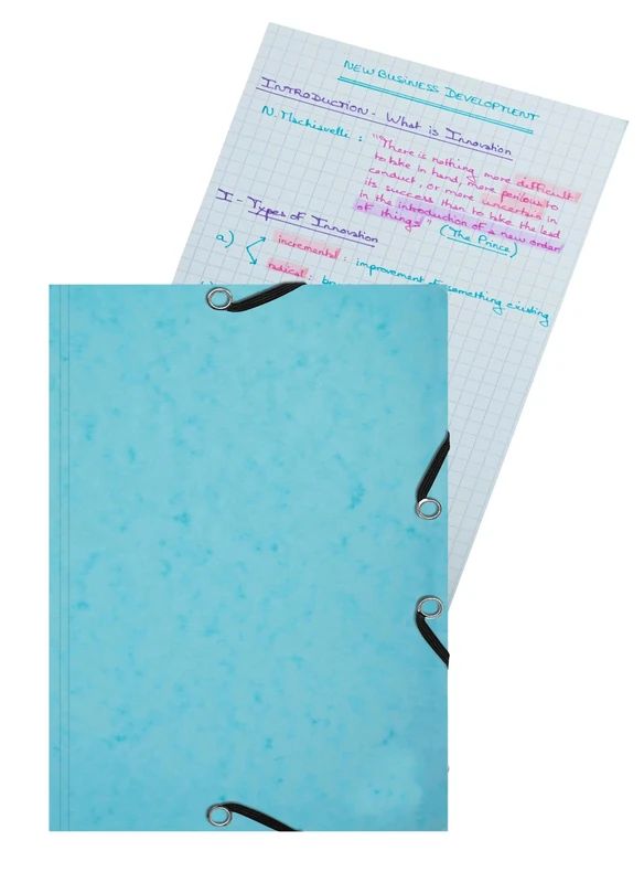 Exacompta - Ref 55566E - Box of 10 folders with Elastic Band 14.8 x 21 cm - 25 Cards A5 205 g - Random Colour - the Folder is Always the Colour of the Cards