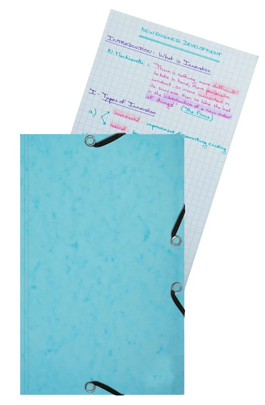 Exacompta - Ref 55577E - Box of 10 folders with Elastic Band 14.5 x 22 cm - 25 Cards 12.5 x 20 cm 205 g - Random Colour - The Folder is Always The Colour of The Cards