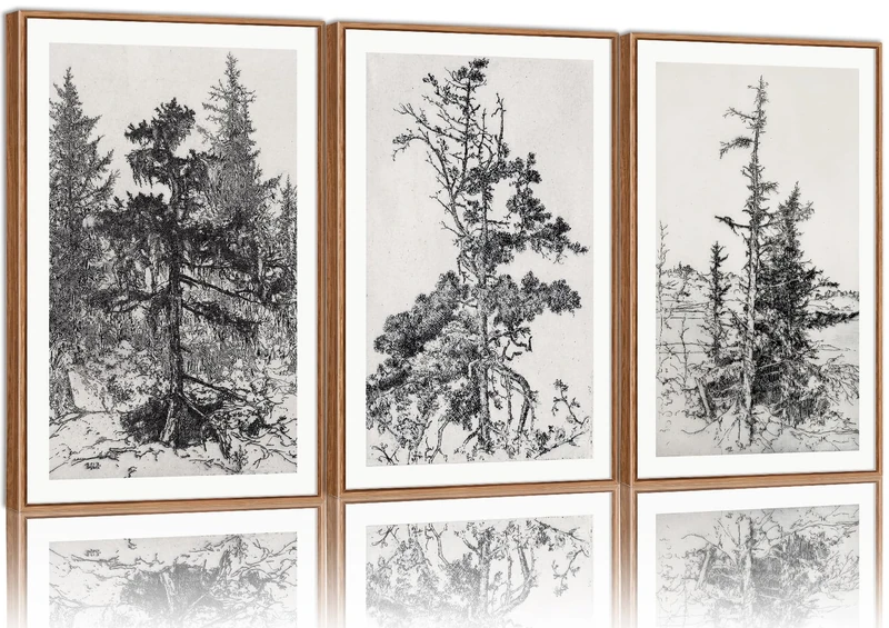 SIGNINART Vintage Tree Framed Wall Art Set, Black and White Antique Sketchbook Forest Painting, Wilderness Illustration Art Print, Retro Pine Tree Landscape Drawing Wall Decor for Living Room,