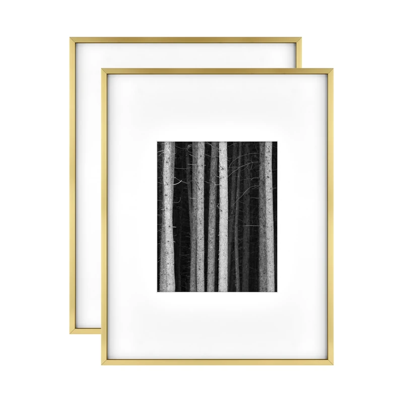 MSC Foundry Metal 14x18 matted to 8x10 Brass Gallery Wall Frame (2-Pack)