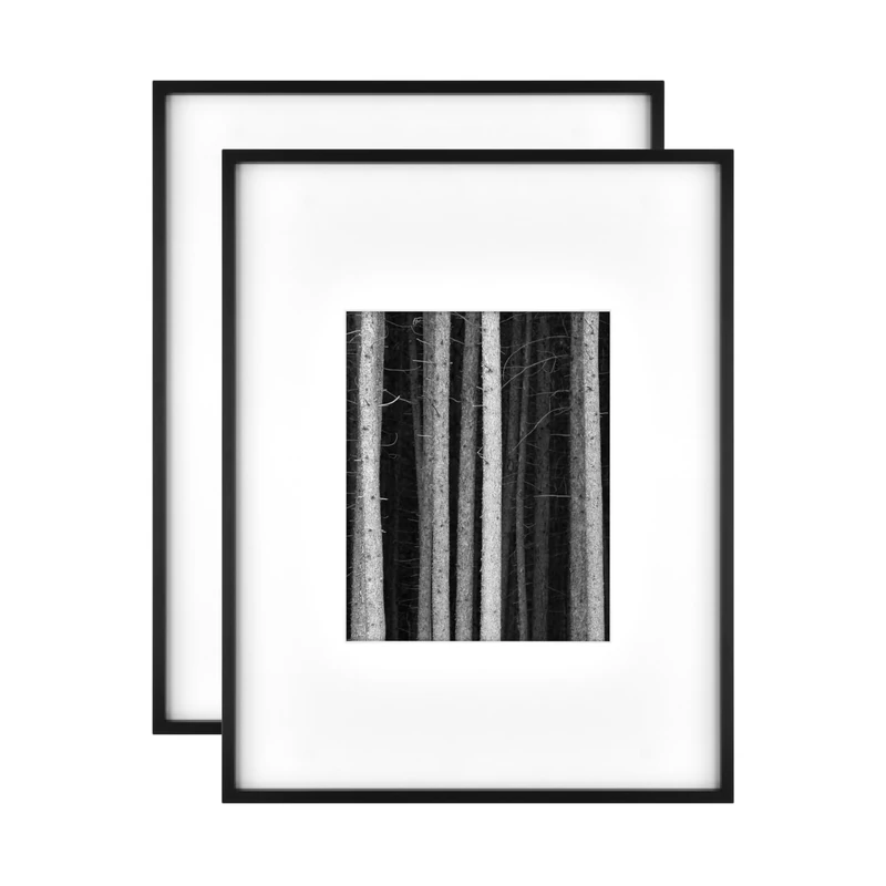 MCS Foundry Metal 14x18 matted to 8x10 Black Gallery Wall Frame (2-Pack)