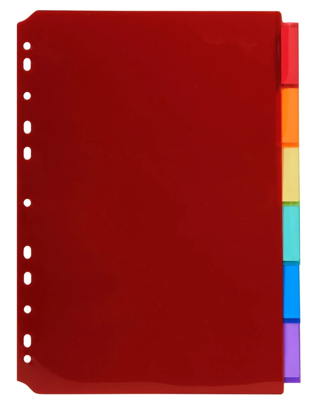 Exacompta - Ref 3906E - Box of 10 Translucent Polypropylene dividers with 6 Neutral tabs - with Label Holder - Comes with a Sheet of Removable Labels - A4 Size to File