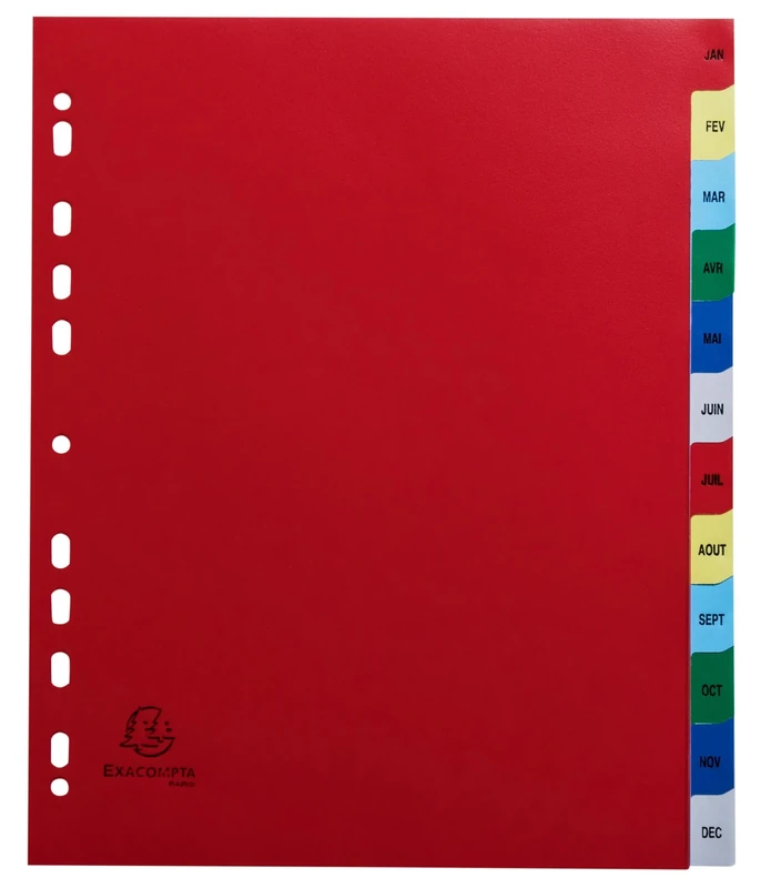 Exacompta - Ref 92E - Box of 20 Polypropylene dividers with 12 Monthly Printed tabs from January to December in Colour - Indexing Page imrpimable - Format to File A4 Maxi