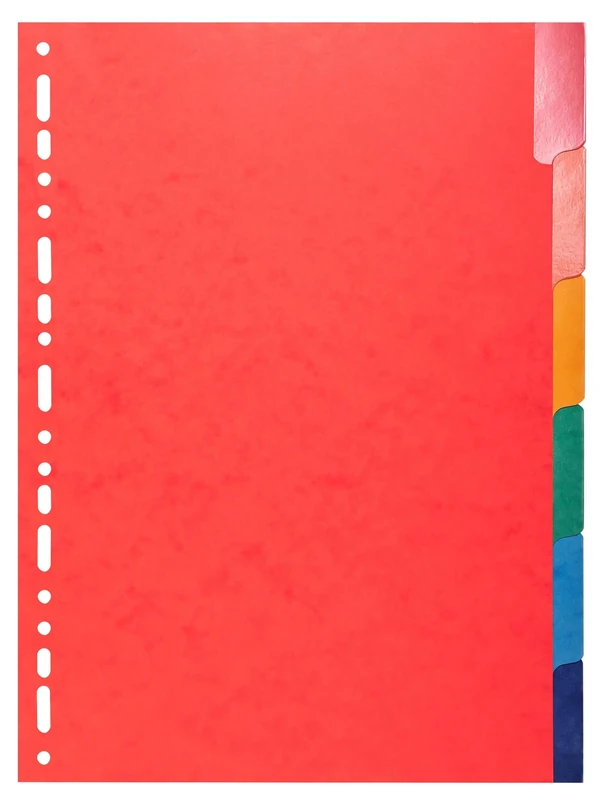 Exacompta - Ref 2206E - Cardboard of 25 dividers in Glossy Card 225 g/m2 FSC® with 6 Colour-Neutral tabs - Reinforced and Laminated - Reinforced Punching Strip - A4 Size