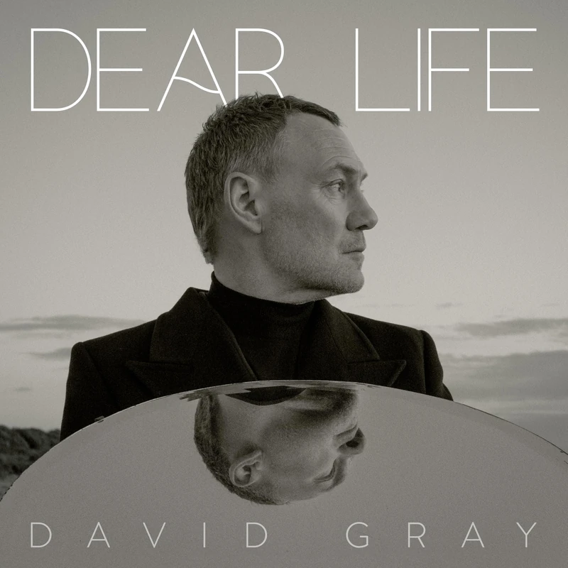 Dear Life [VINYL] - Image 1