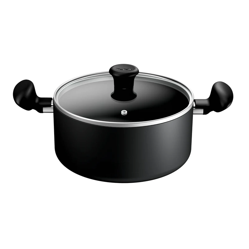 Tefal Titanium Essential Stewpot 24 cm + Lid, Non-Stick Coating, Metal Spatula Safe, Compatible with All Hobs Except Induction, B9414644