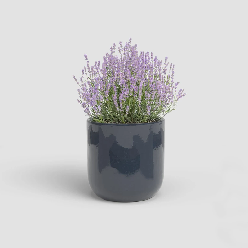 Artevasi Jupiter, Ceramic Flowerpot with Glazed Finish, Midnight Blue, 29cm - Image 1