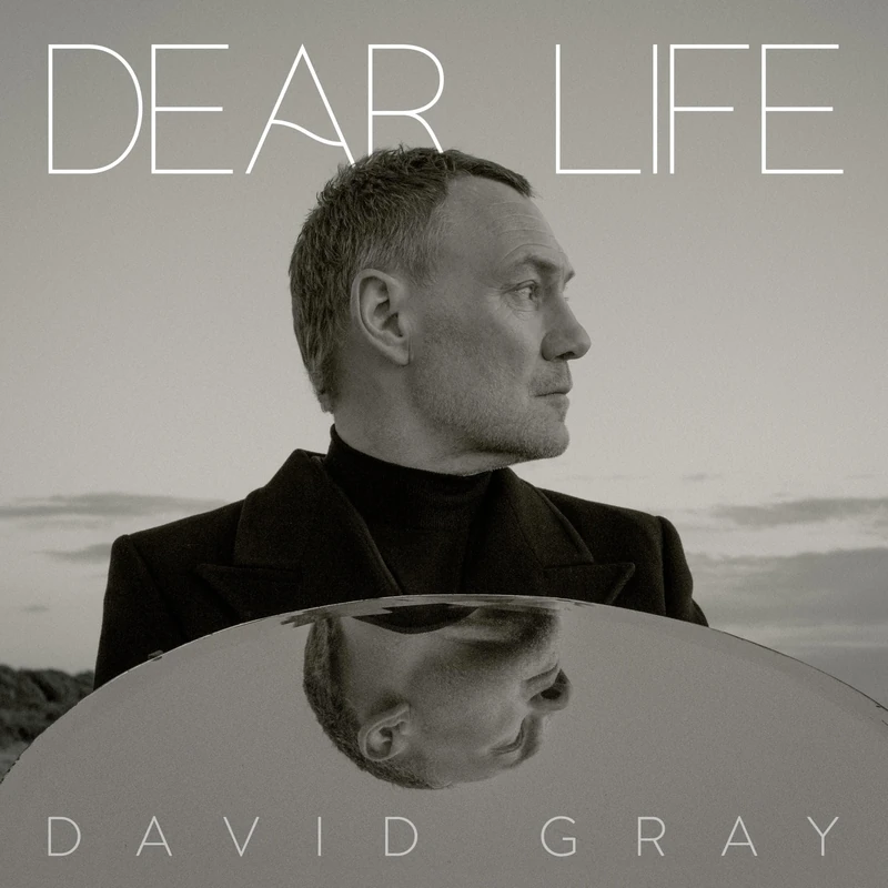 Dear Life - Seaweed Green [Vinyl LP] [VINYL]