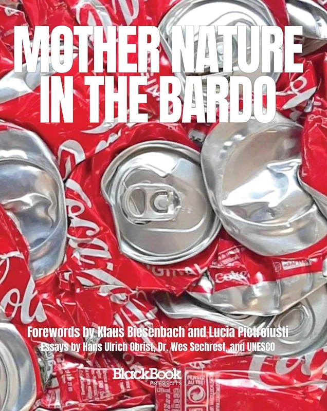 Mother Nature in the Bardo (ART+IMPACT) - Image 1