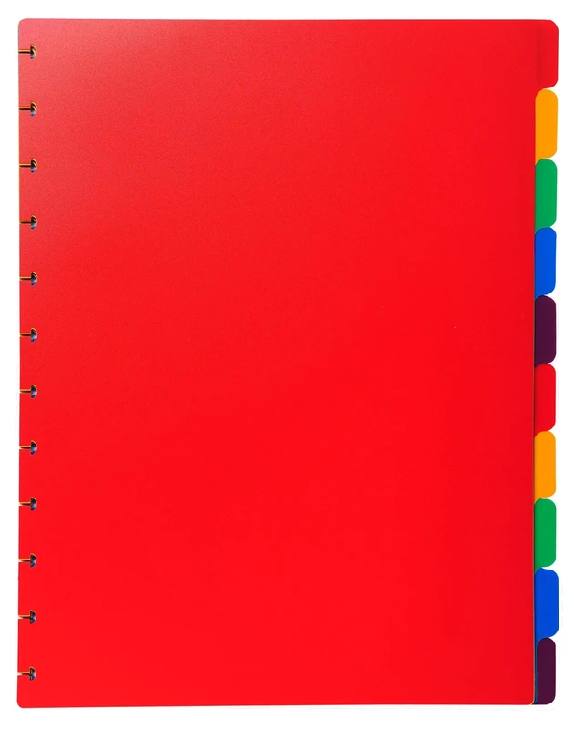 Exacompta - Ref 86003E - Box of 10 dividers Made of Rigid Polypropylene Multi-Coloured for Removable Ring Binders - 10 Neutral tabs - for A4 Format Maxi - Size 24 x 30.5 cm