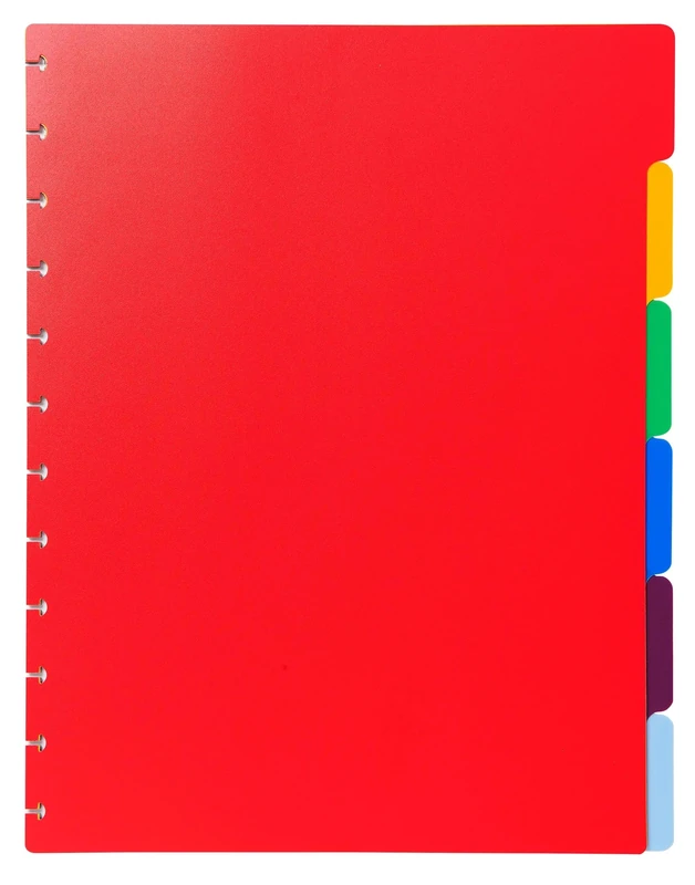 Exacompta - Ref 86002E - Box of 10 dividers Made of Rigid Polypropylene Multi-Coloured for Removable Ring Binders - 6 Neutral tabs - for A4 Format Maxi - Size 24 x 30.5 cm