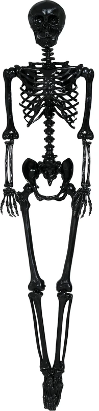 FIESTAS GUIRCA | Black Skeleton (160 cm) - Halloween Decoration for Parties and Celebrations - Ideal for Spooky Environments and Skull and Skeleton Themes - Black