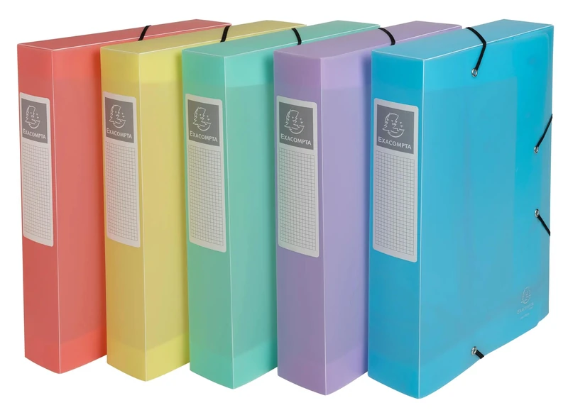 EXACOMPTA - Ref 16270E - 10 boxes with elastic bands CARTOBOX - delivered flat - 6 cm spine - made of pastel chromaline polypropylene - dimensions 25 x 33 cm - for A4