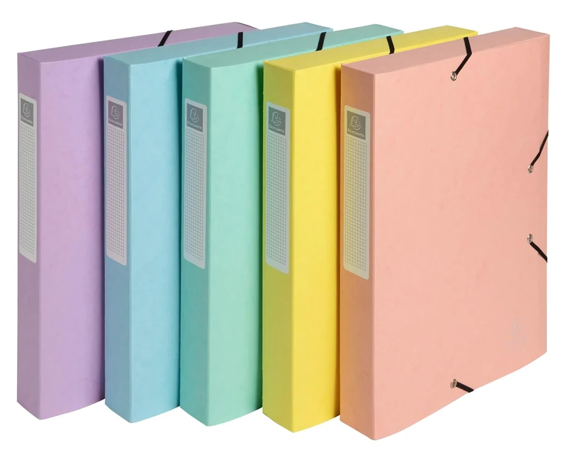 Exacompta - Ref 14460E - 10 Boxes with Elastic Bands CARTOBOX - Delivered Flat - 4 cm Spine - in Glossy Aquarel Card - Dimensions 25 x 33 cm - for A4