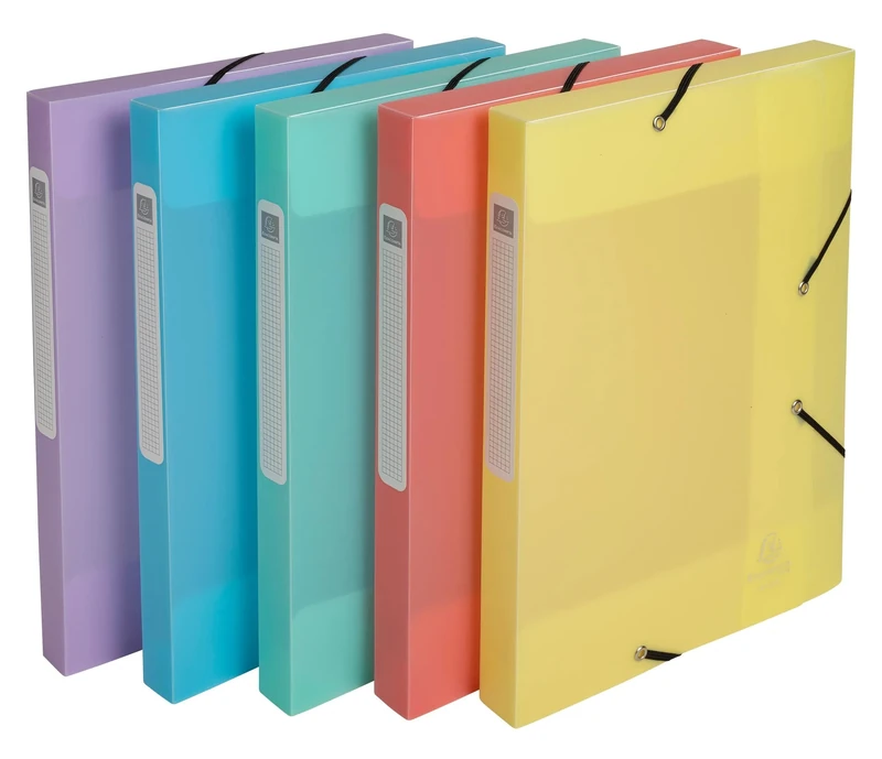EXACOMPTA - Ref 18570E - 10 boxes with elastic bands CARTOBOX - delivered flat - 2.5 cm spine - made of pastel chromaline polypropylene -dimensions 25 x 33 cm - for A4