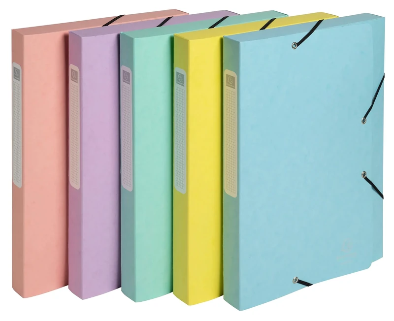 Exacompta - Ref 18560E - 10 Boxes with Elastic Bands CARTOBOX - Delivered Flat - 2.5 cm Spine - in Glossy Aquarel Card - Dimensions 25 x 33 cm - for A4