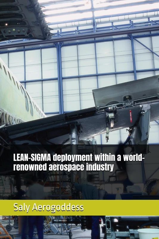 LEAN-SIGMA deployment within a world-renowned aerospace industry - Image 1