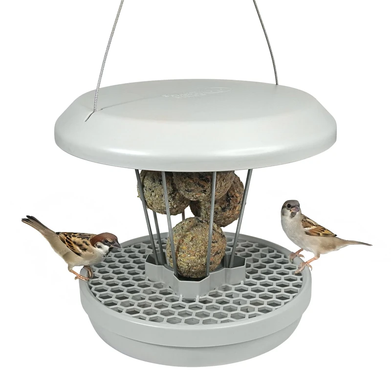 Bird Feeders Hanging Station - Lucerne- Smart Bird Feeder - No Mess Bird Seed - Fat Balls for Wild Birds - Seed Tray - Gardening Gifts - Bird Watching Gifts - Bird Table - Robin Food