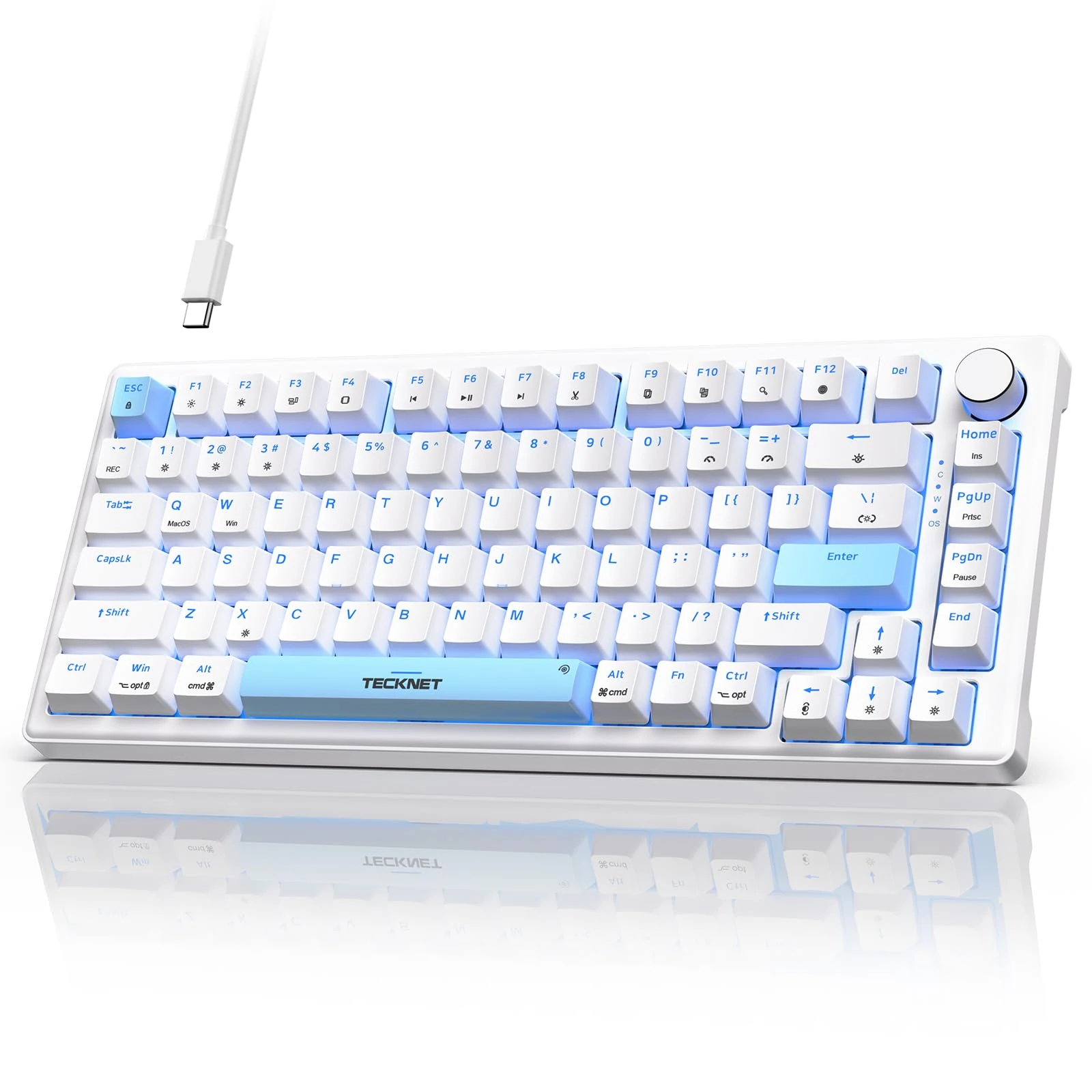 TECKNET Wired Gaming Keyboard, RGB Backlit Keyboards with Gasket Structure, USB C Mechanical Keyboard has 20 Lighting Effects & Multimedia Control Knob, Computer Keyboards for PC Laptop Mac Gamer