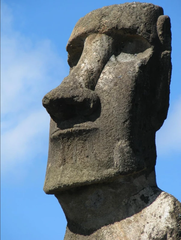 Single Line Ruled Notebook