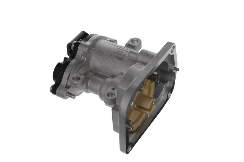 Valeo EGR Valve 703227