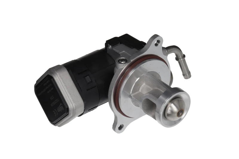 Valeo EGR Valve 703250