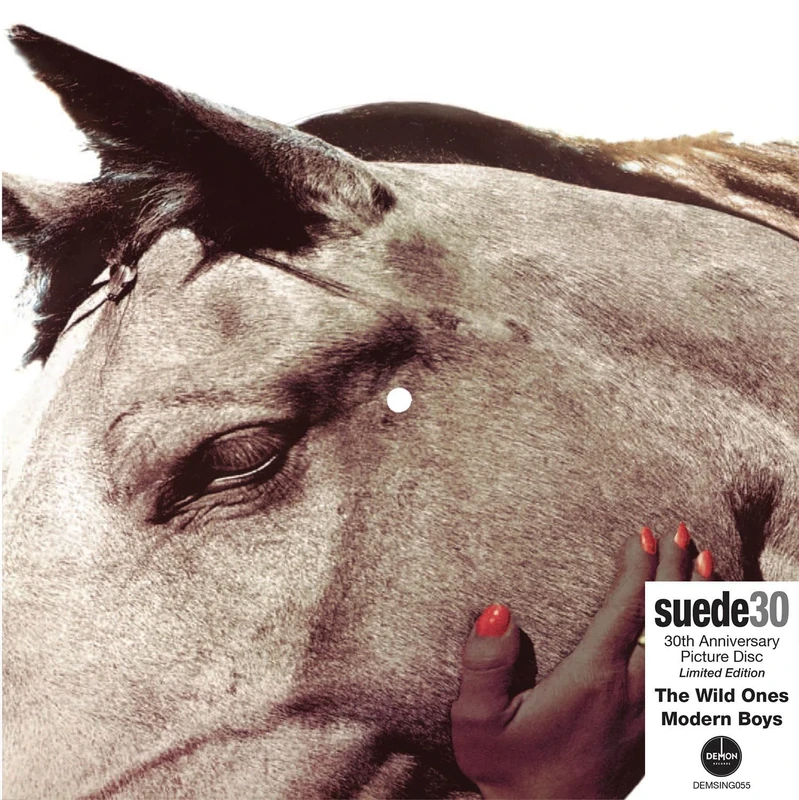 Suede: The Wild Ones 30th Anniversary Edition Picture Disc