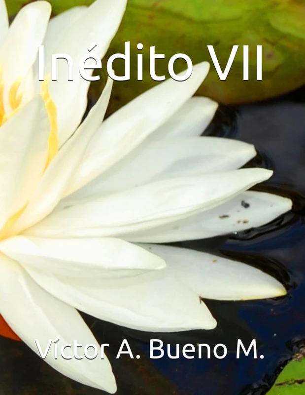 Inédito VII (Inéditos de Li Tao Po VABM)