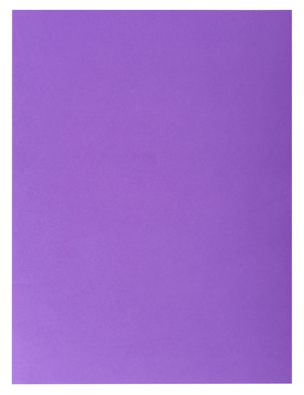 Exacompta - Ref 415007E - Box of 250 Rock''S Double Pocket folders 210 g/m² - Bright Colours - PEFC™ Certified folders - Size 24 x 32 cm for A4 documents - Purple