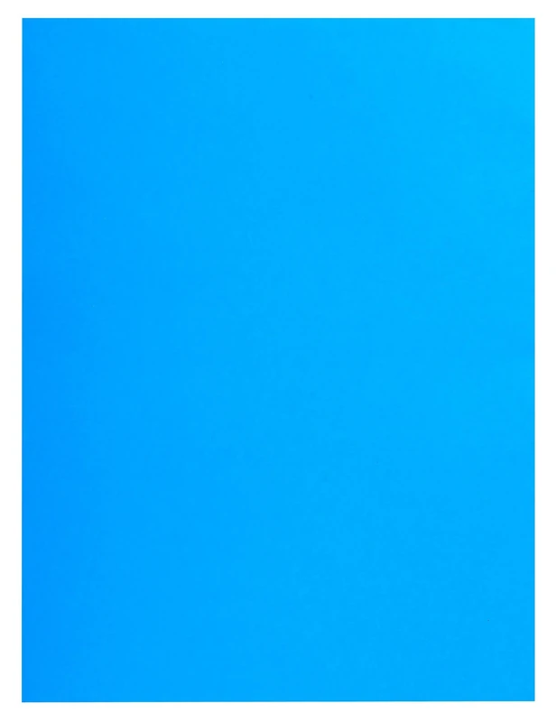 Exacompta - Ref 415002E - Box of 250 Rock''S Double Pocket folders 210 g/m² - Bright Colours - PEFC™ Certified folders - Size 24 x 32 cm for A4 documents - Blue