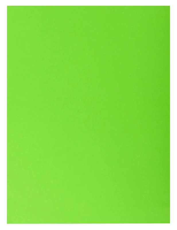 Exacompta - Ref 415003E - Box of 250 Rock''S Double Pocket folders 210 g/m² - Bright Colours - PEFC™ Certified folders - Size 24 x 32 cm for A4 documents - Green
