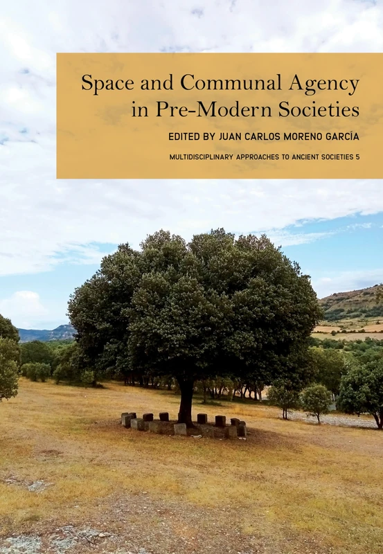 Space and Communal Agency in Pre-Modern Societies (Multidisciplinary Approaches to Ancient Societies (Matas))
