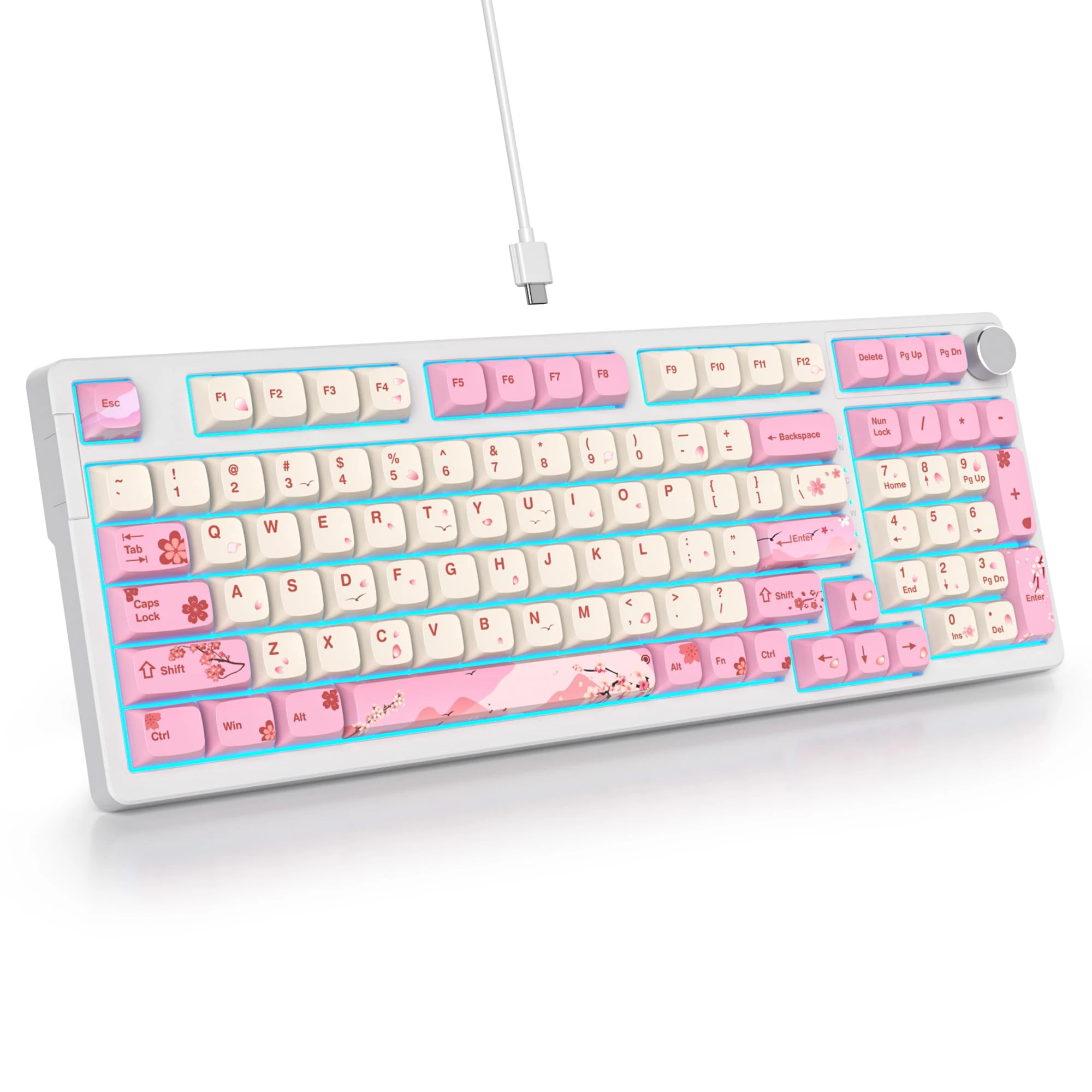 SOLIDEE Wired 95% Mechanical Gaming Keyboard,Gasket Structure RGB Backlit Keyboard,98 Key Hot Swappable Mechanical Keyboard with Control Knob,NKRO Compact Keyboard for Windows Laptop(98 Flower)