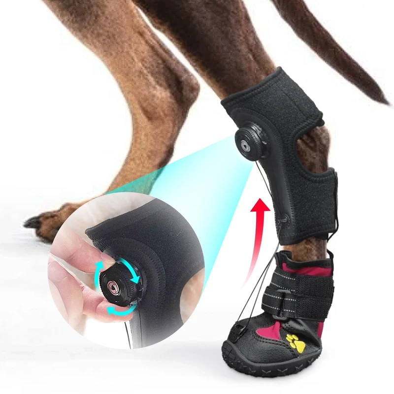 Drop Foot Brace with Reel(No Knuckling Boot Brace) for Dog - Corrective Dog Shoes to Safely Lift Toes for Foot Issues, Arthritis, and improving Walking gait in Dogs(M)
