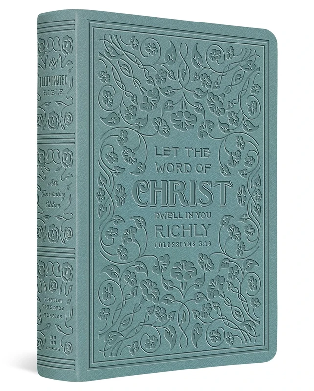 ESV Illuminated™ Bible, Art Journaling Edition (TruTone, Paris Sky, Colossians 3:16 Design)