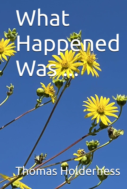 What Happened Was ...