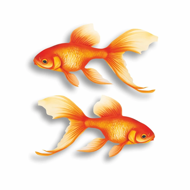 Goldfish Pair Fish Stickers, Hardwearing Water and Weatherproof 0% Transparency Decals, Cover Marks, Sea Life Wall Decor, Cars & Home Projects. (Goldfish x2)
