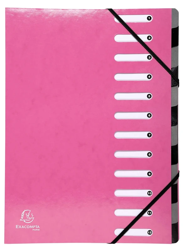 Exacompta - Ref 53928E - Box of 6 HARMONIKA Iderama File Boxes - with Elastic Bands and Cut-Out Windows - Expandable Back - Made of Laminated Glossy Card - 12 compartments -Size 24.5x32cm - A4 - Pink