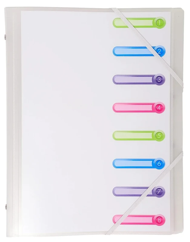 Exacompta - Ref 56187E - Box of 10 Chromaline File Boxes - 3 Flaps - with Elastic Bands and Cut-Out Windows - PP Cover and Interior - 8 compartments - Size 25x32cm - for A4 - colourless