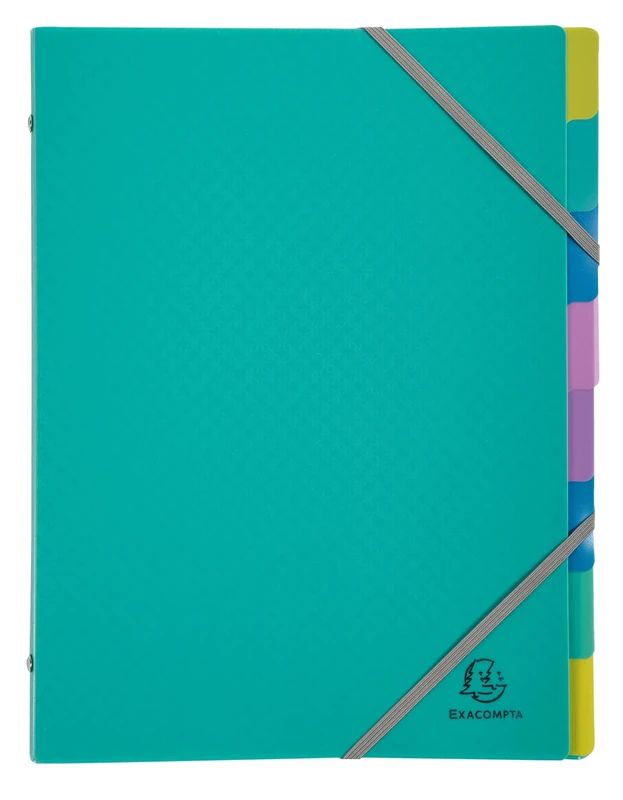 Exacompta - Ref 56193E - Box of 8 Forever Young File Boxes - 3 Flaps with Elastic Bands - Cover and Inside in Recycled Polypropylene - 8 compartments - Size 25x32cm - for A4 Size - Turquoise - Image 1