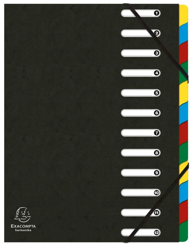 Exacompta - Ref 55121E - Box of 6 HARMONIKA File Boxes - with Elastic Bands and Cut-Out Windows - Glossy Card Cover - Expandable Back - 12 compartments - for A4 - Size 24,5 x 32 cm - Black