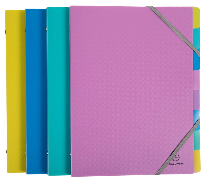 Exacompta - Ref 56190E - Box of 8 Forever Young File Boxes - 3 Flaps with Elastic Bands - Cover and Inside in Recycled Polypropylene - 8 compartments - Size 25x32cm - for A4 Size - Assorted